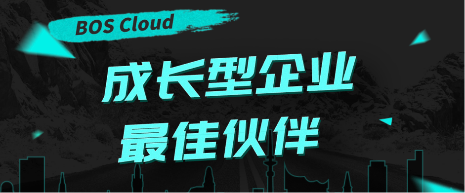 BOS Cloudح ERP+POS һ�����װ��