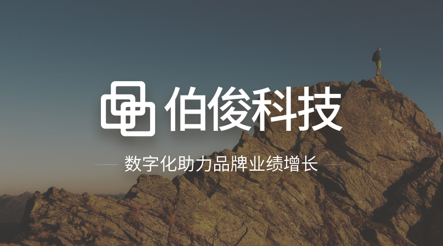 77779193���� (�й�)���޹�˾����ERP��άЧ�ͣ�������������������רҵ��ά��ģʽ