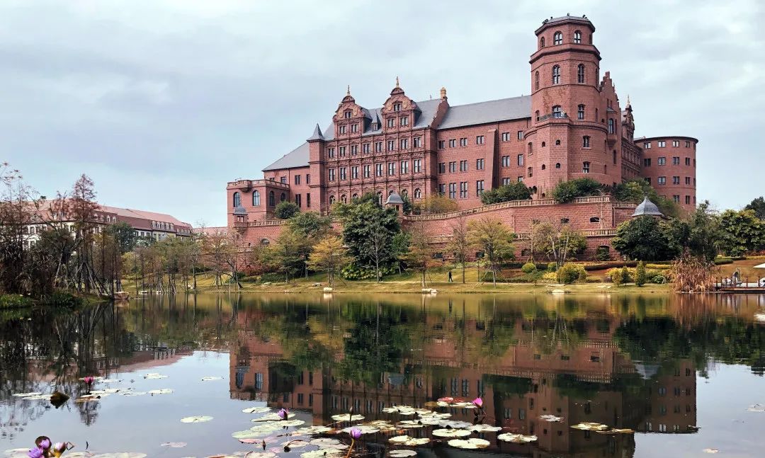 ΢��ͼƬ_20250220105811