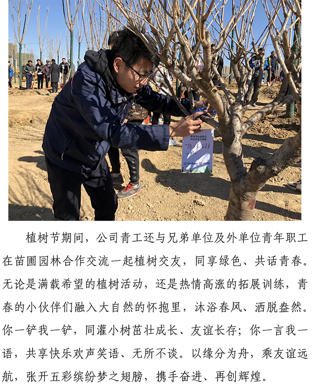 3133cc拉斯维加斯·(中国游)官方网站